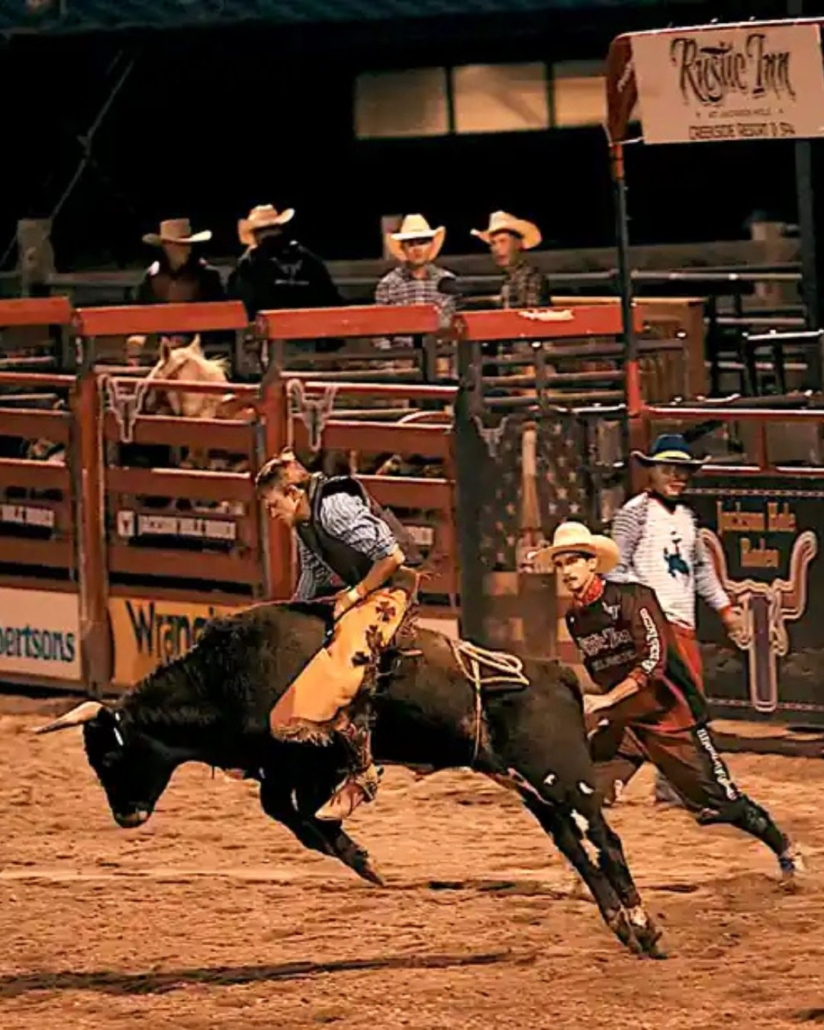 Image of a cowboy bullriding at the Famous Jackson Hole Rodeo